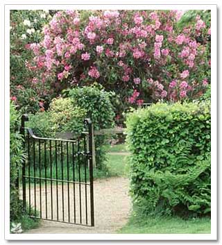 Garden Gate